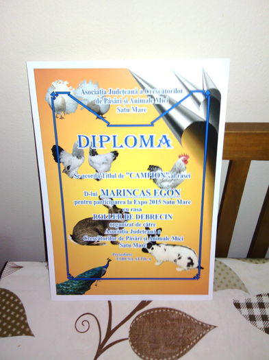IMG_20150201_224437 - Cupe si Diplome