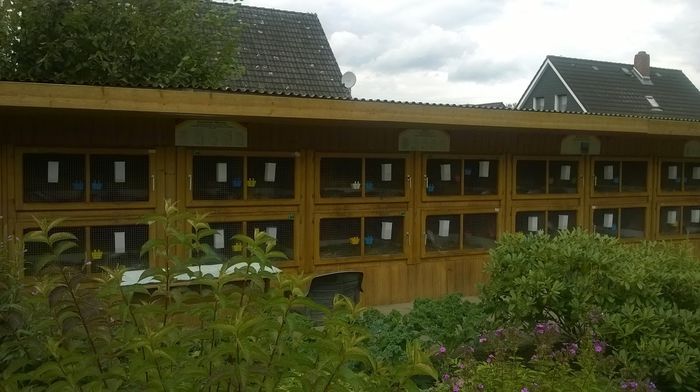 CRESCATORIA LUI KREMER