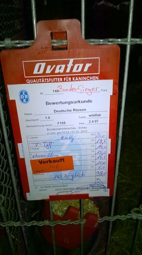 FISA DE CAMPION 98 PCT KREMER