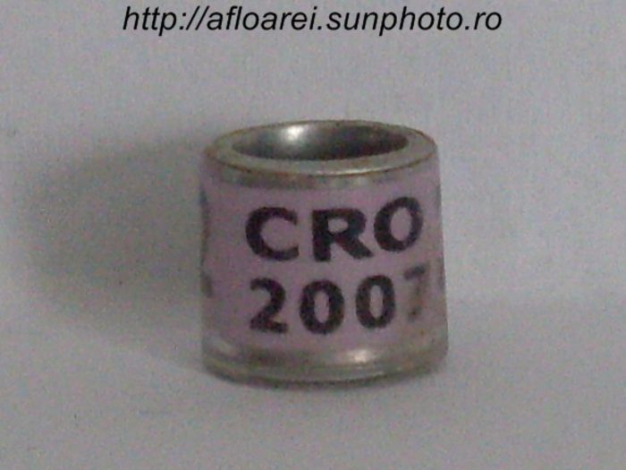 cro 2007