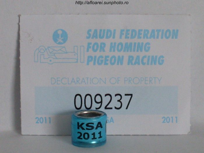 ksa 2011 - ARABIA SAUDITA-KSA