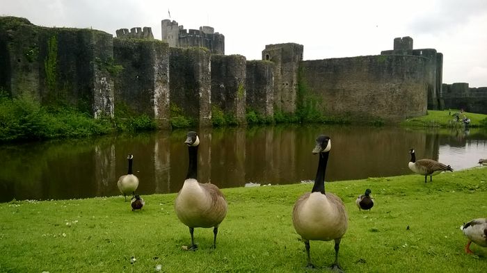 WP_20140531_002[1] - c Tara Galilor - Castelul Caerphilly