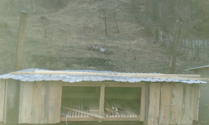 cusca pt tineret in constructie