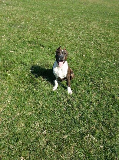 10672323_827394163968100_2776124026055793196_n[1]