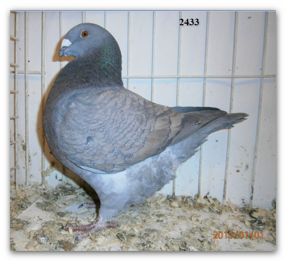 2014 FEM 2433 H 180 RON REZERVATA