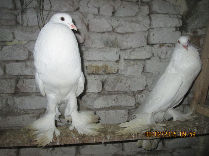 Picture 011