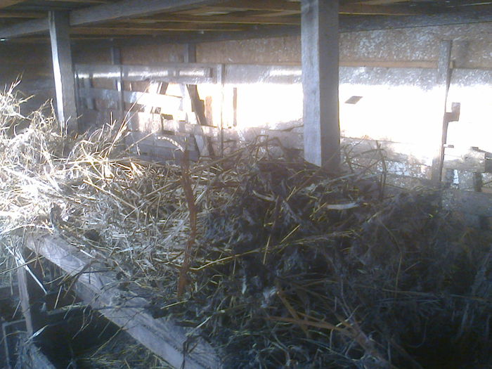 Fotografie0546 - Deratizare in adapost februarie 2015