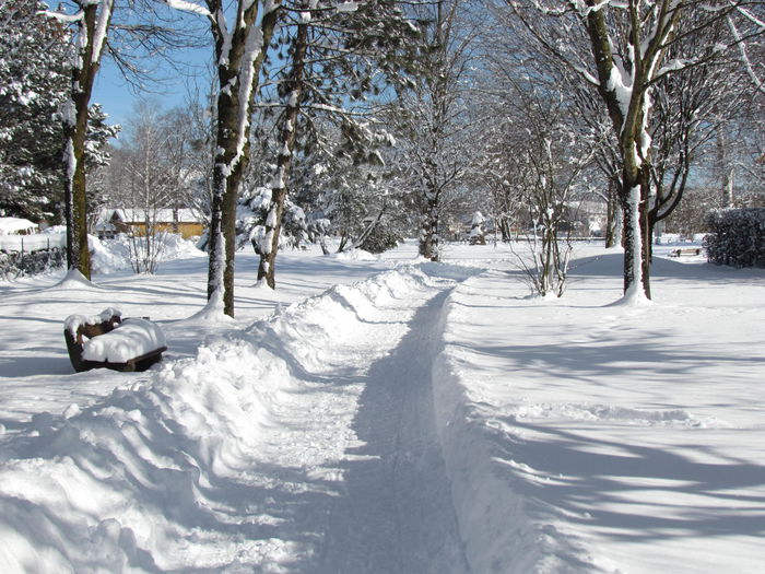 Januar --2015 780 - Iarna frumoasa la noua locatie si inprejurimi din Germania