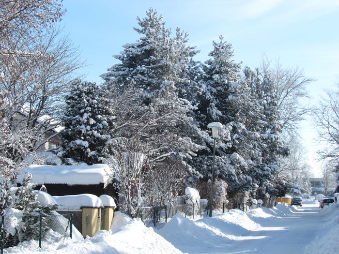 Januar --2015 731 - Iarna frumoasa la noua locatie si inprejurimi din Germania