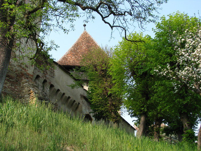 SASCHIZ - Cetati din Transilvania