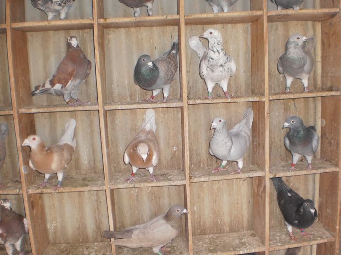 NHYkekT2IprVQ_oV-jQpkQ292355