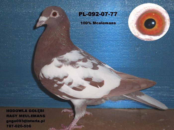 77 - Prima dragoste Dupa citiva ani m am reintors la ei