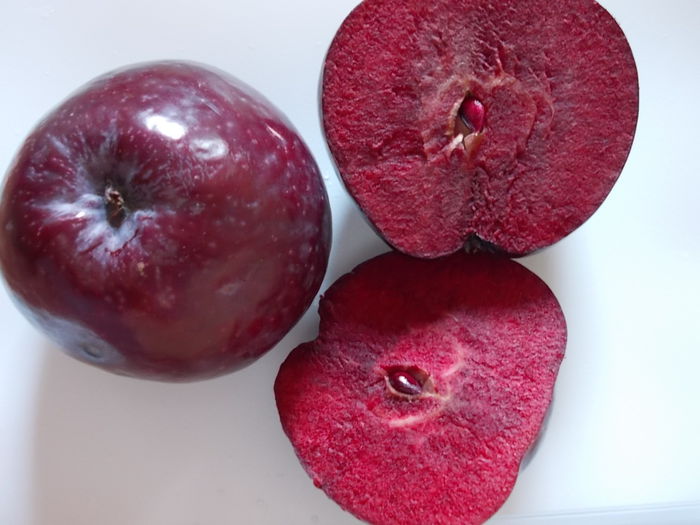 Mere Malus domestica `Simontornyai - cu miez rosu-sangeriu; Soi vechi de origine de austriaca, cu fructe medii a carui miez este foarte aromat si sanatos. Pomi in ghiveci de 10 litri, 1,2 m - 1,5 m (150 lei)
