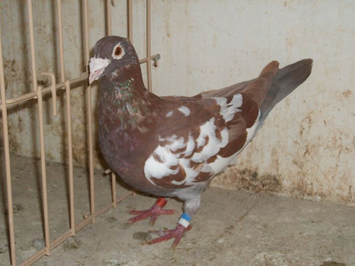 2992197369_2_5_TJWeZGDD