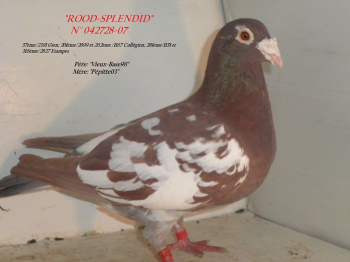 3220562505_2_2_7zXZpozW