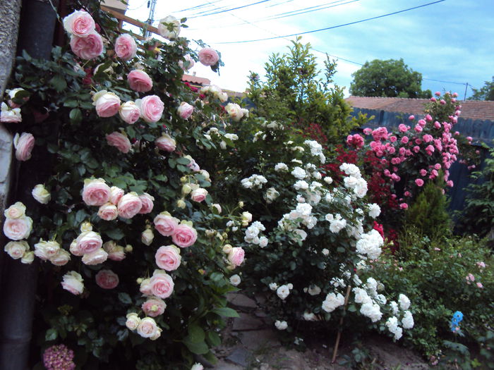 DSC06143