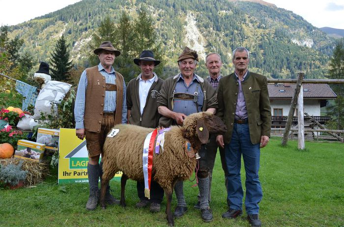 Tot un castigator din Tirol - Rase de oi si capre-Poze deosebite-6