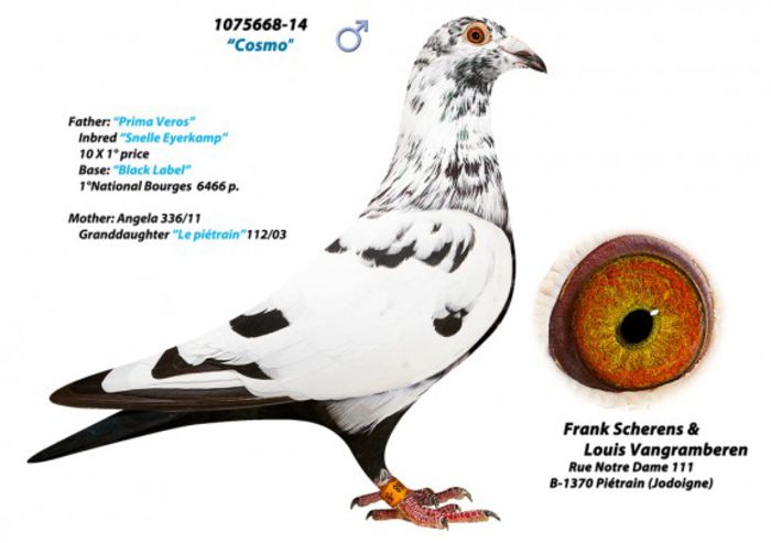 20140917_848962767541991c29682c