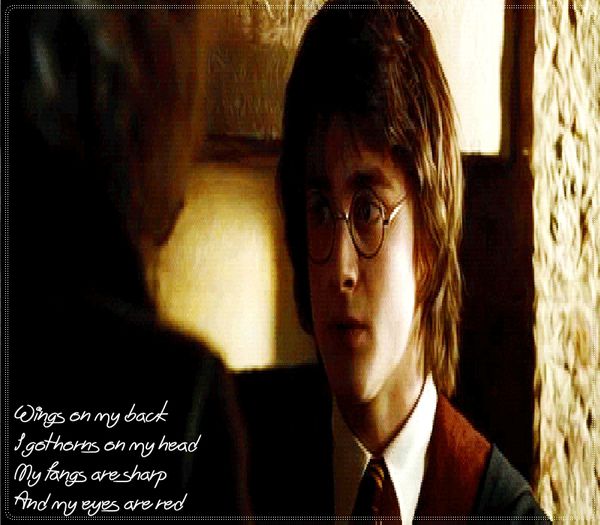 dar ele au câte 3 găuri fiecare. :( stai puţin ... 2 p;;li? ;O (cl); asta înseamnă or;;al şi an;;al în acelaşi timp? *zâmbeşte aşa frm*
