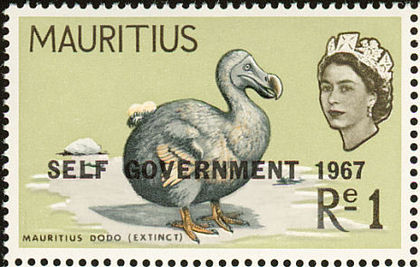 Dodo-Raphus-cucullatus(2)