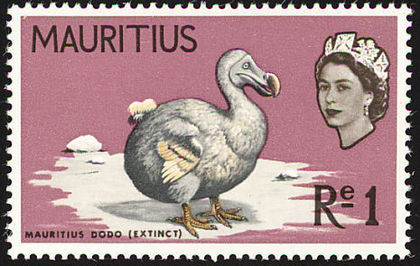 Dodo-Raphus-cucullatus(3) - alte alea