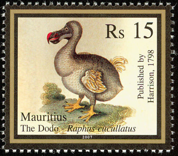 Dodo----Raphus-cucullatus(1) - alte alea