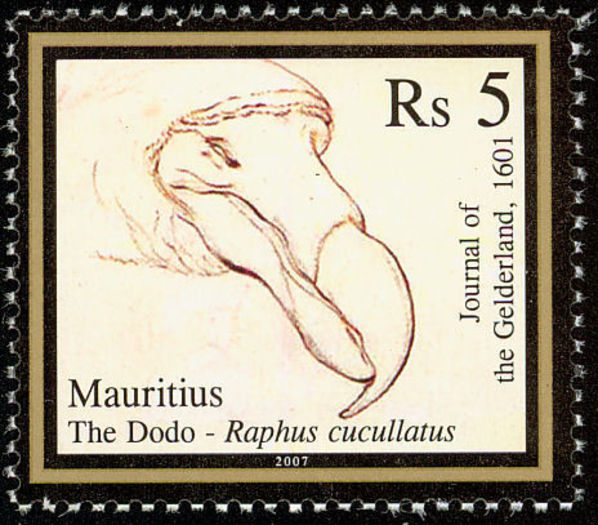 Dodo----Raphus-cucullatus(2) - alte alea