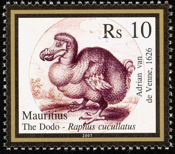 Dodo----Raphus-cucullatus(3) - alte alea