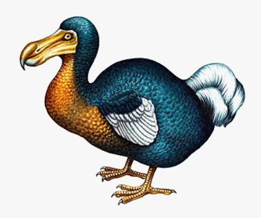 Dodo-bird - alte alea