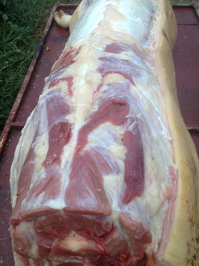 PIC-0804; Asa arata un porc sacrificat rasa PIC la 160 kg,pt carnati trebuie sa cumparati grasime

