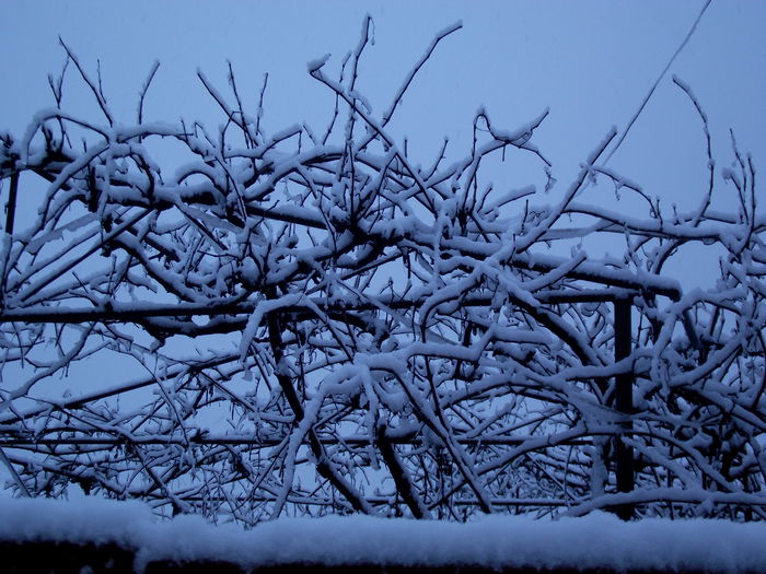 DSCF2504 iarna 2014-2015 tura 2 (1)