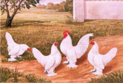 101512589_JYSYWHZ3