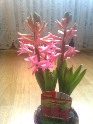  - ACHIZITI - 2015 - 2018