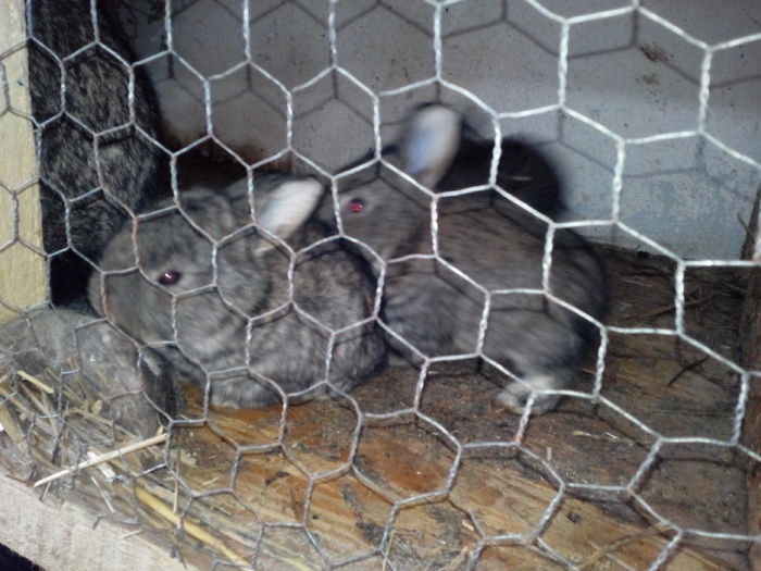 IMG_20150207_132726303