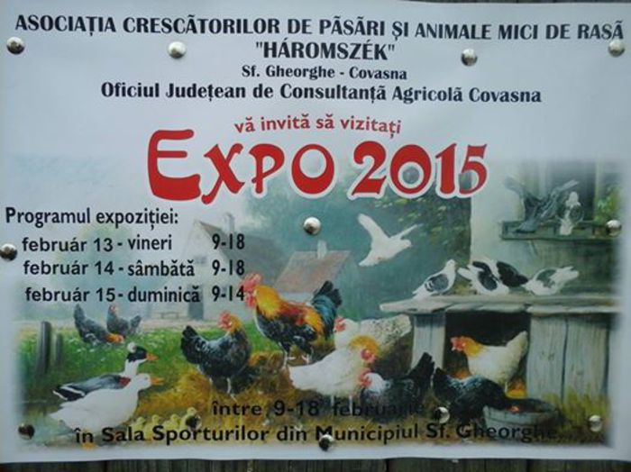 expo Covasna - 7-anunt important
