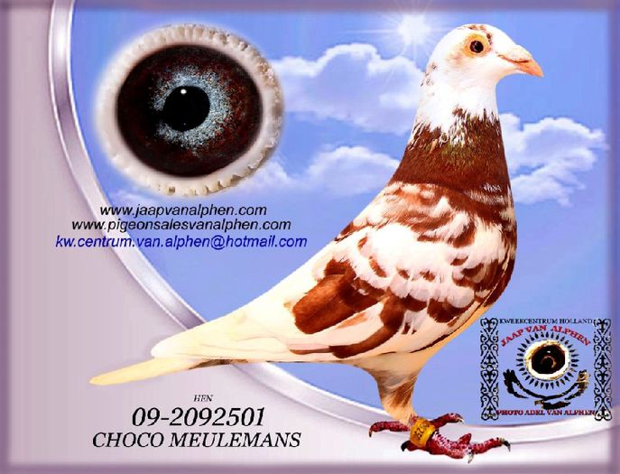 1398766619-501%20OOG%20BETTERR