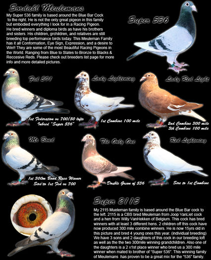 MeulemanBreedersPage