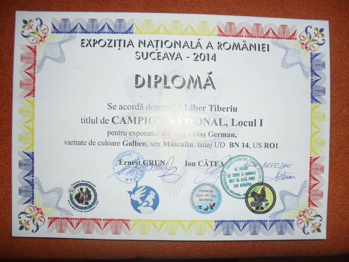 SDC14249 - Campion national Suceava 2014 Ugalben