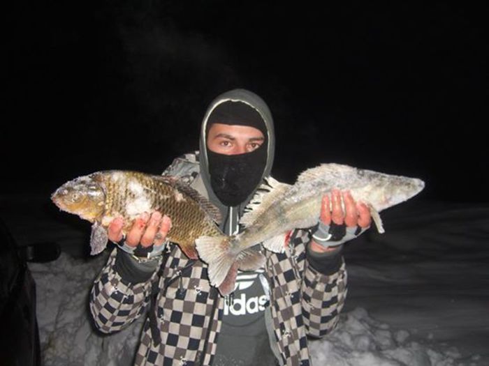 1012549_571481772948004_166515358_n