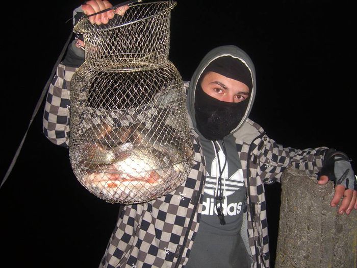 1656147_571481806281334_1735376210_n