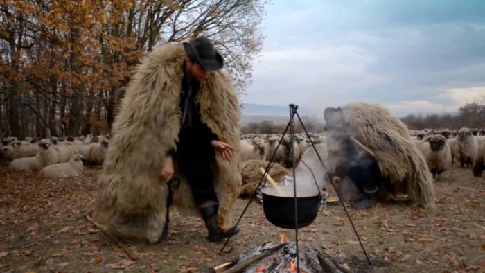 Sarac dar liber si sanatos !