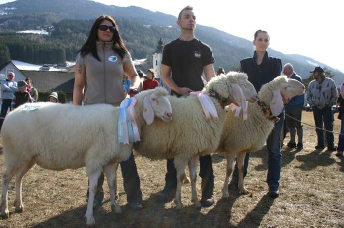 Tirolezele premiate-65