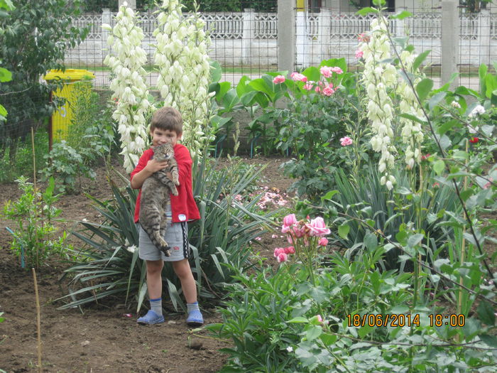 ALEX 2014 073 - Gradina de flori 2014