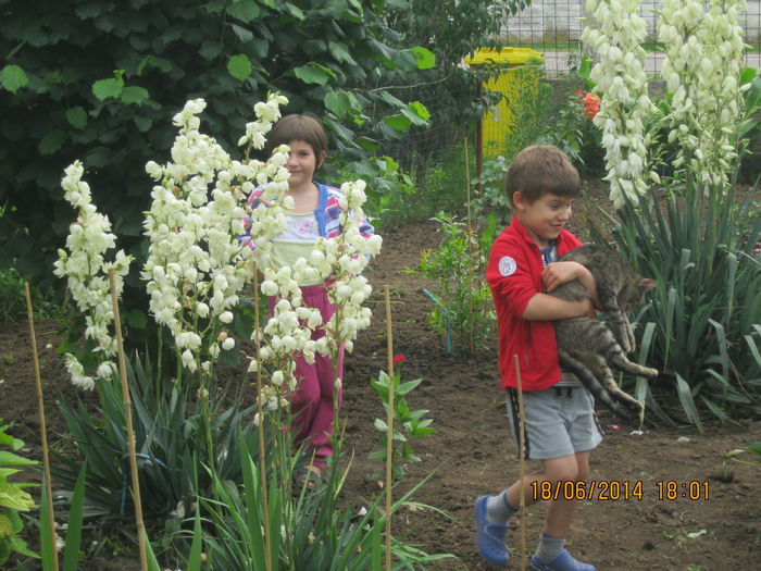 ALEX 2014 074 - Gradina de flori 2014