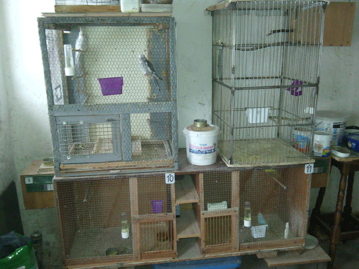 IMG_20150208_154406-1