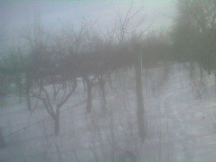 SP_A0811 - iarna in gradina