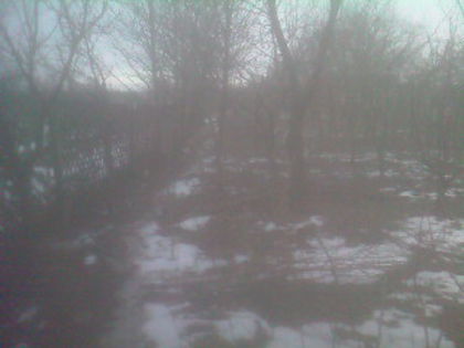 SP_A0825 - iarna in gradina