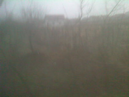 SP_A0833 - iarna in gradina