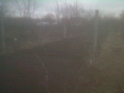 SP_A0836 - iarna in gradina