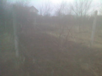 SP_A0837 - iarna in gradina